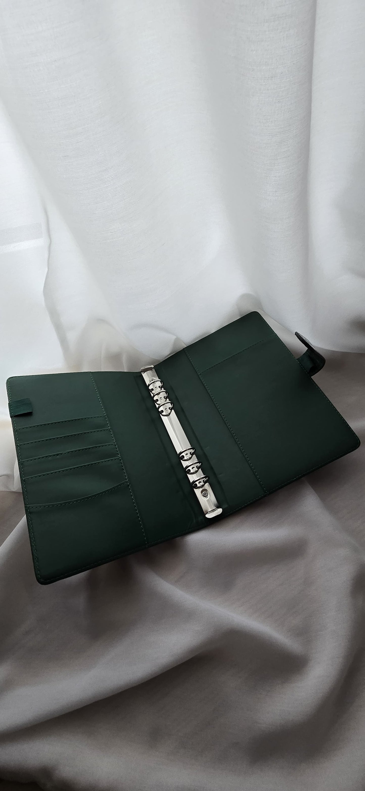 Grüner Binder mit Krokodilmuster